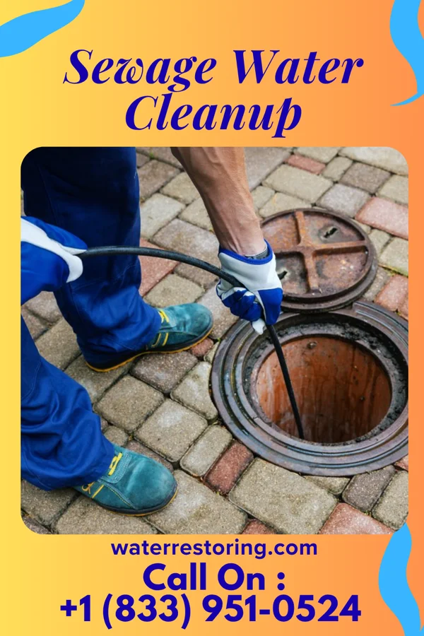 Sewage Water Cleanup in Verandah, FL